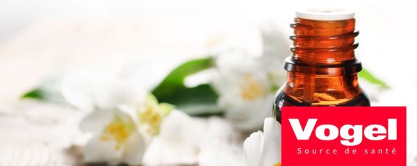 Fluxobile, une cure efficace pour nettoyer le foie