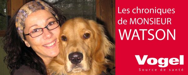 Désinfecter votre animal à l’intérieur comme à l’extérieur!