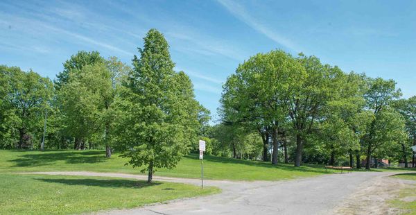 Aucun arbre ne sera coupé pour le stationnement Melançon