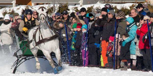 La belle température aidant, une foule record a apprécié les courses de chevaux de la fin de semaine.