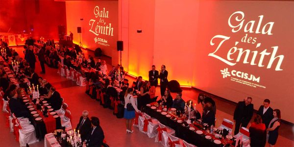 Tous les nommés (et les gagnants) du Gala des Zénith 2016