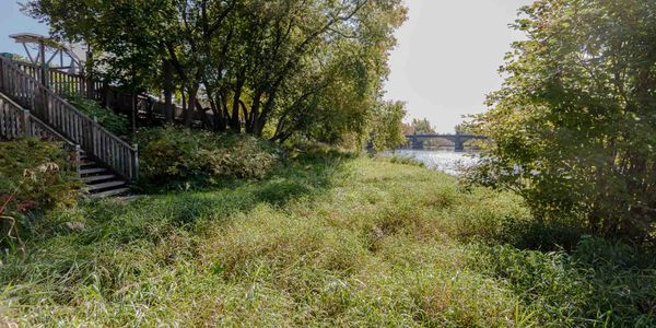 Notre dernier souper confiné, ce n'est que le début d'autre chose - jour 46 - le 22 mai 2020
