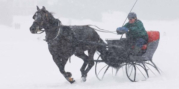 Focus sur les Laurentides no 1270