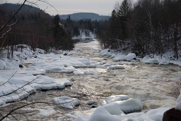Focus sur les Laurentides no 1279