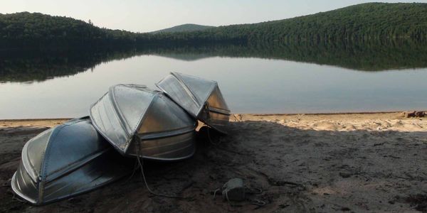 Focus sur les Laurentides no 1281