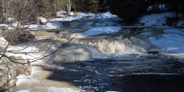 Un après-midi au Parc de la Rivière Doncaster
