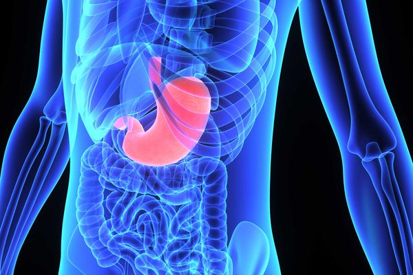 Une première chirurgie bariatrique à l'Hôpital régional de Saint-Jérôme