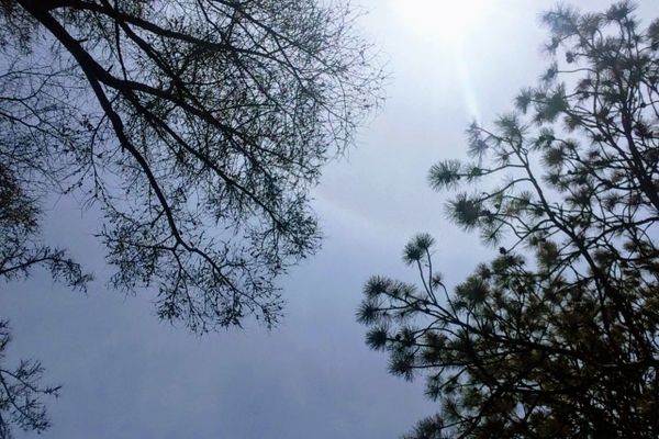 Critique météo du 24 avril 2018