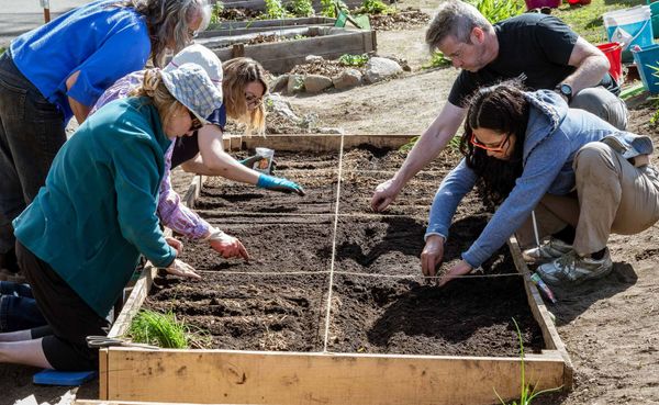 Les Incroyables comestibles au travail dans leurs plate-bandes
