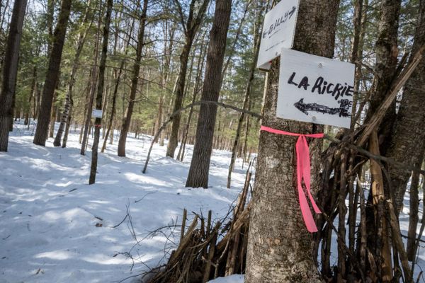 Une «Jérômienne excédée» s'inquiète du développement à Saint-Jérôme