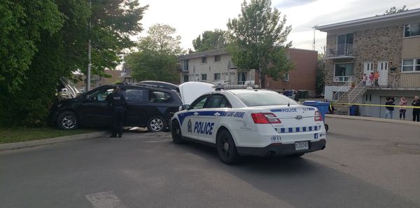 Une poursuite policière se termine dans un arbre (et une roche) à Saint-Jérôme
