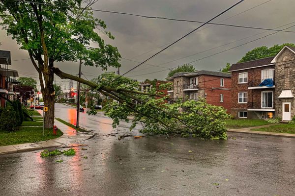Pannes d'électricité et chutes de branches en fin d'après-midi samedi