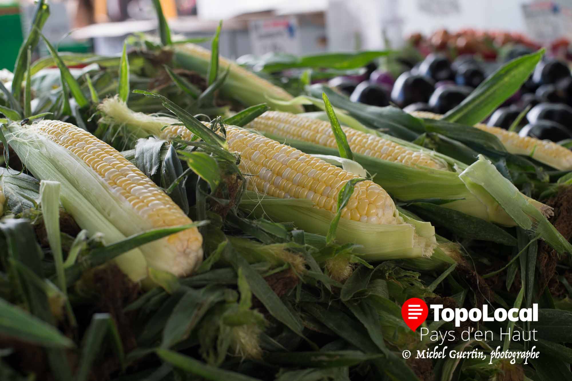 20160804-sainte-adele-marche-public-ble-inde