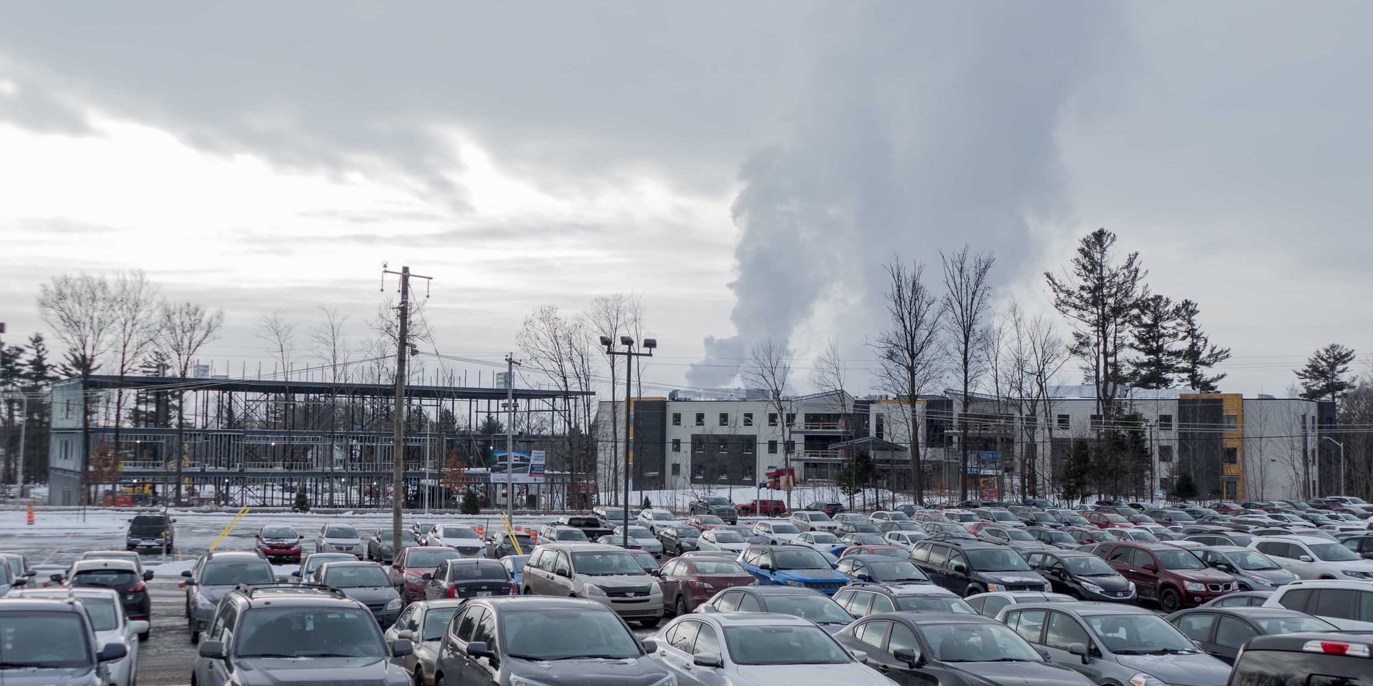 Le paysage a beaucoup changé au bord de la rivière au cours de la dernière année.