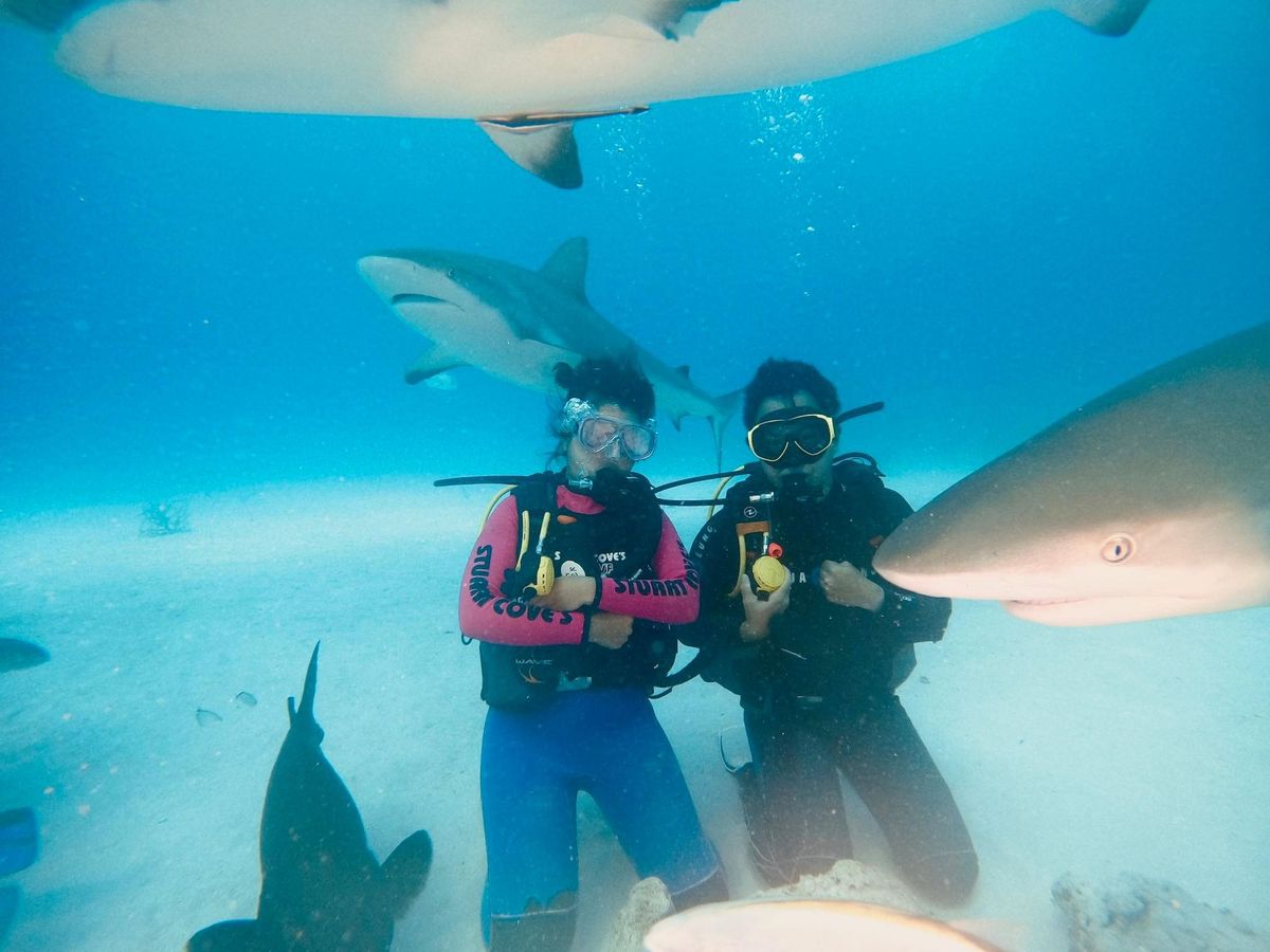 2022 Q2 and Q3 Review