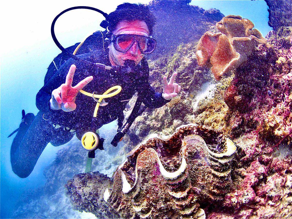 2020 Q2 Reflection and Q3 Planning