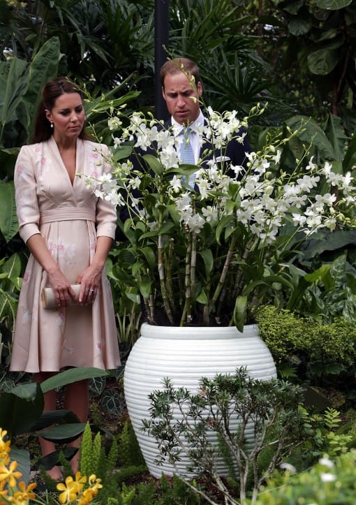 Prince William Kate Middleton Royal Romance