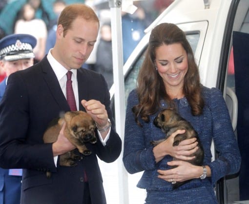 Prince William Kate Middleton Royal Romance