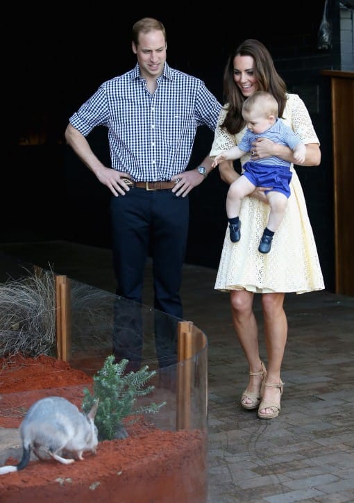 Prince William Kate Middleton Royal Romance