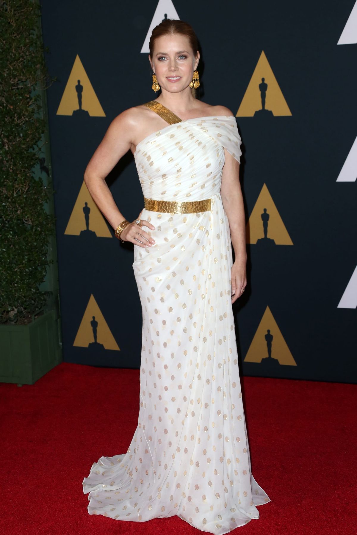 Unfug or Fab: Amy Adams in Carolina Herrera