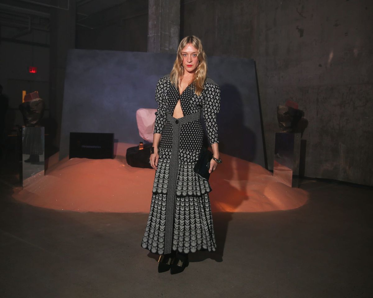 Chloe Sevigny Wore A Thing to a Party