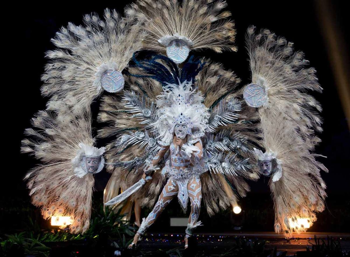 Miss Universe National Costumes Part 1