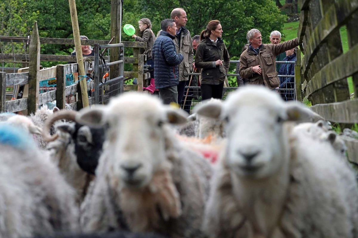 Kate and Wills Visit Cumbria and It's Very Rustic!