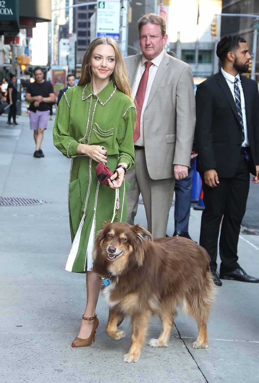 Amanda Seyfried Embraces Spring Green
