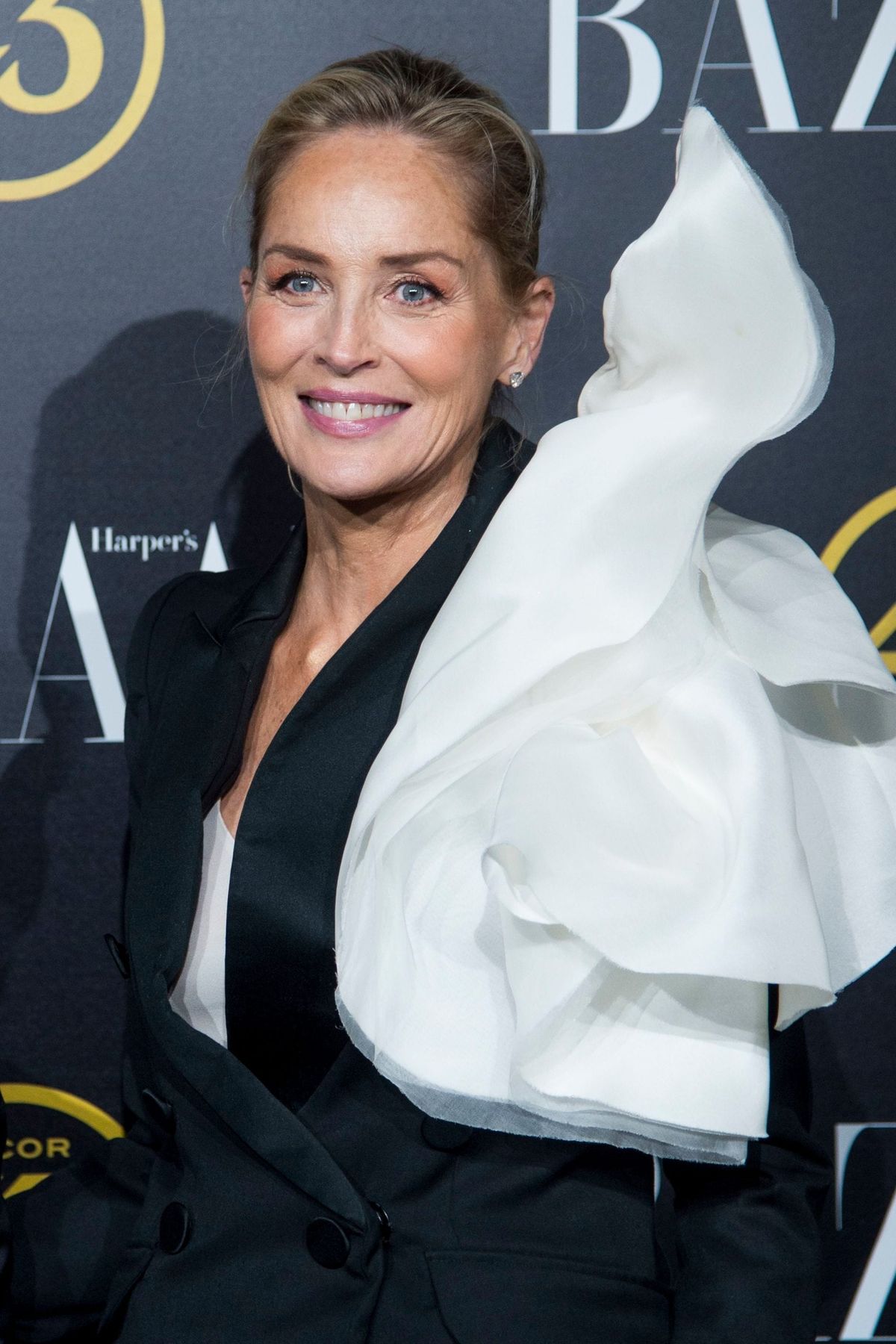 Sharon Stone Is Delightful Right Now