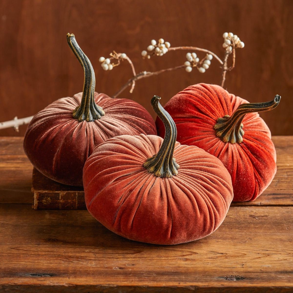 Fug Nation Loves....Just Cute Things For Fall!