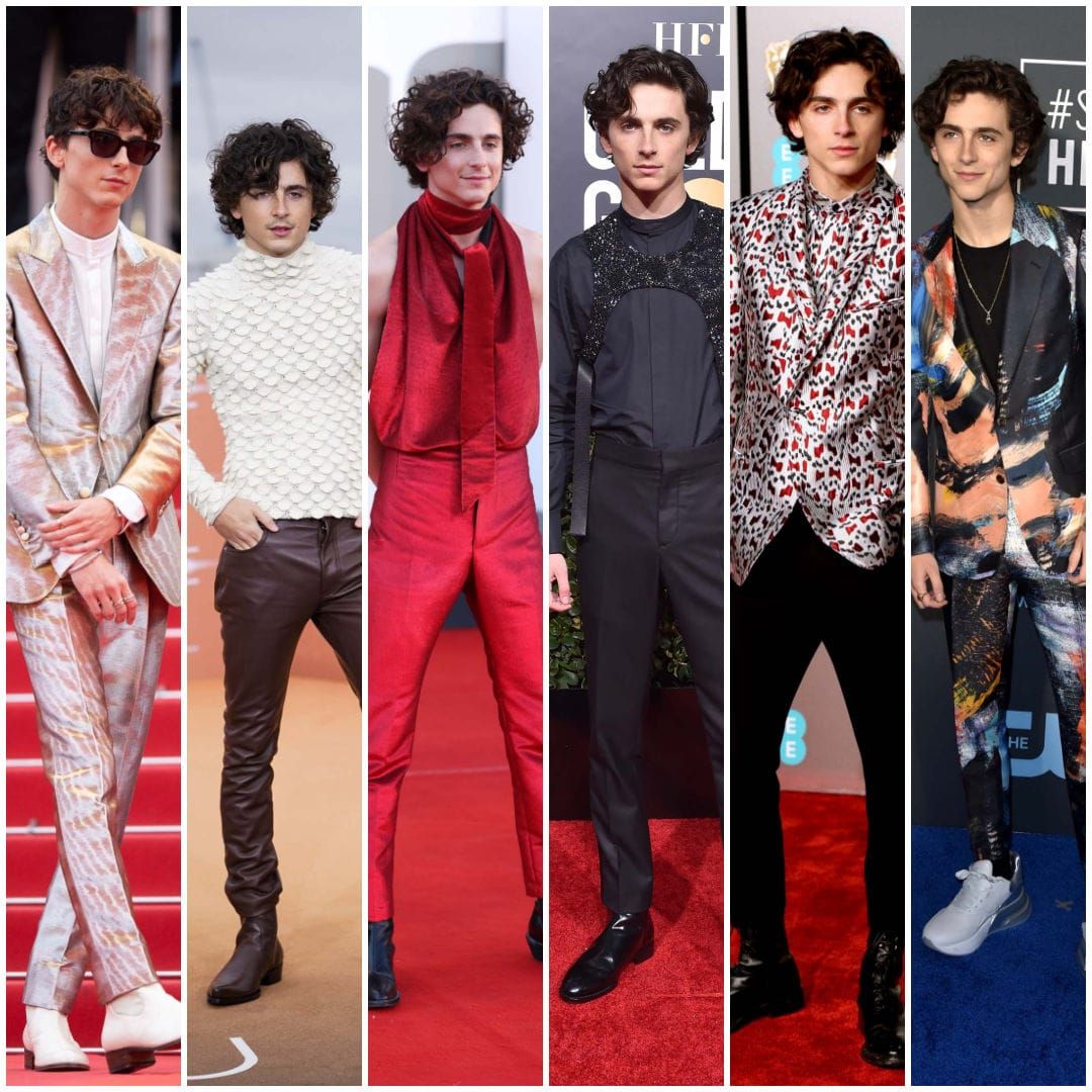 Timothee Chalamet: A Fugtrospective
