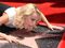 Fugs and Fabs, Kristin Chenoweth
