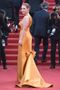 Jessica Chastain and the Rest of the Cannes 70th Anniversary Gala