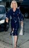 Help Me Parse Katy Perry's Clothes Please