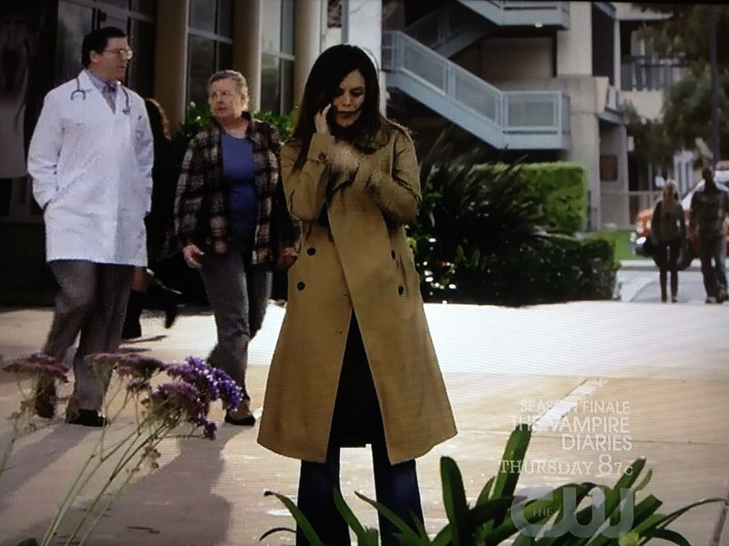 Fug the Show: Hart of Dixie recap, episode 21
