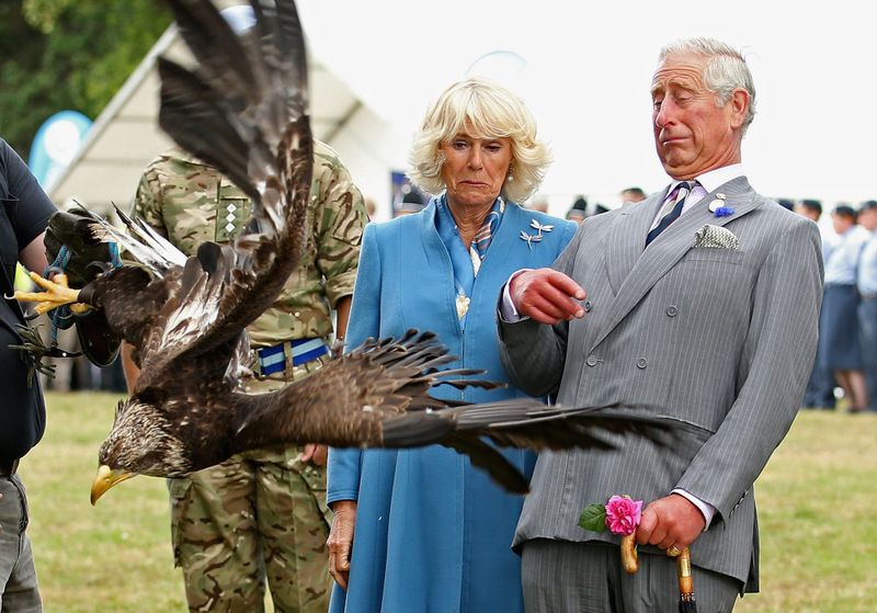 Royals Round-Up, July 31st, 2015