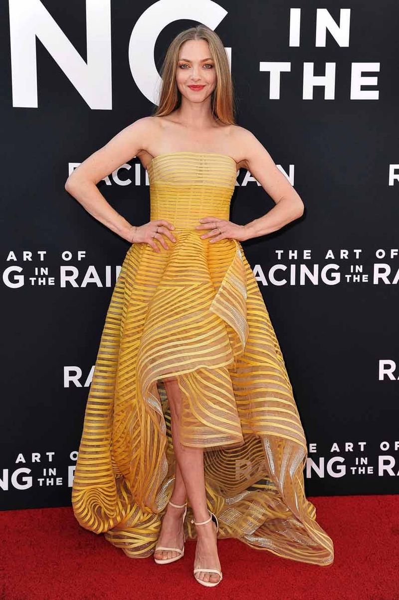 Who Wore It Better: Amanda Seyfried or These Majestic Floofy Dogs?
