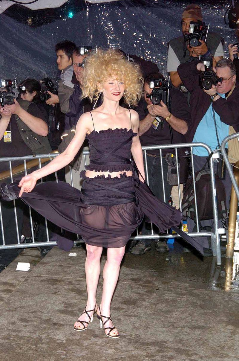 Anne Heche Both Won and Lost the 2004 Met Gala