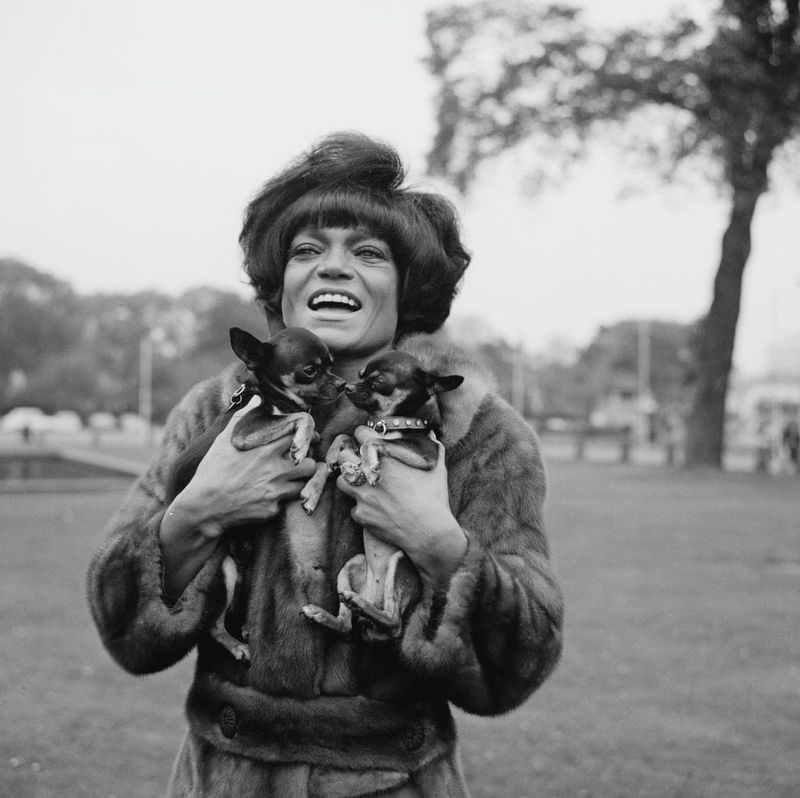 On This Day in 1972, Eartha Kitt Snuggled Two Chihuahuas