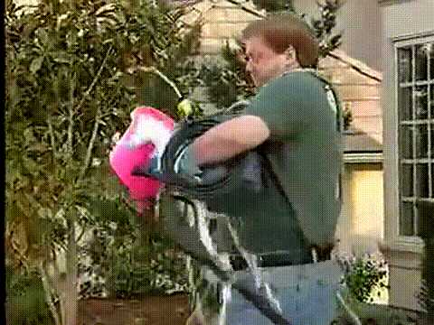 Your Afternoon Chat: What Is Your Number One, Very Best, Holy Grail Cleaning Tip?