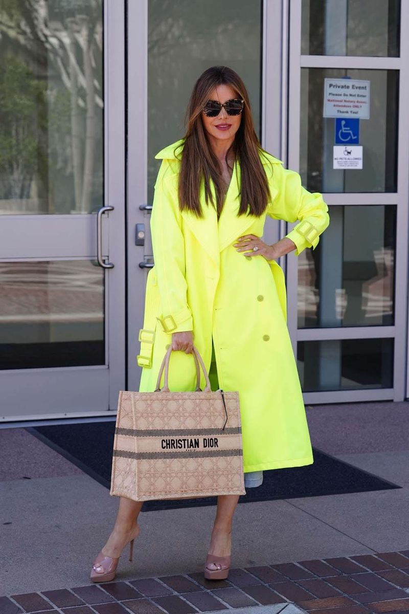 Sofia Vergara Really Does Love her Ludicrously Capacious Bag