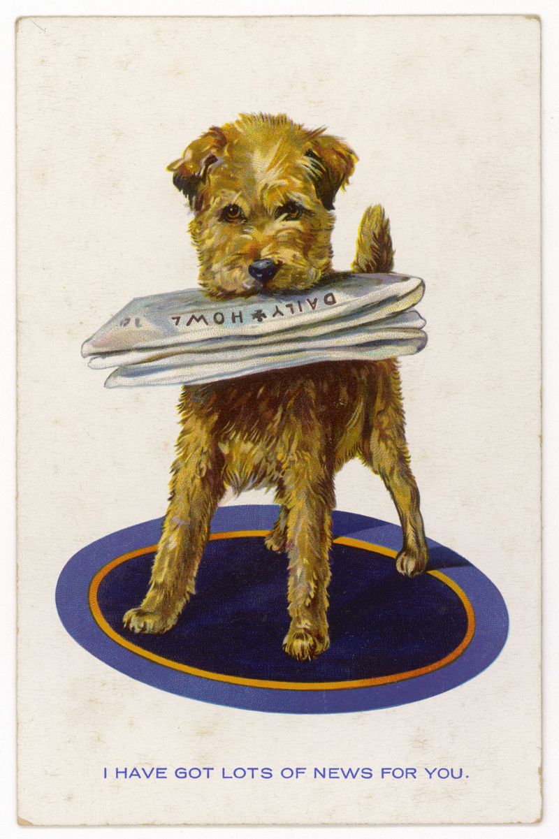 Your Afternoon Chat: What's Your Favorite Newsletter?