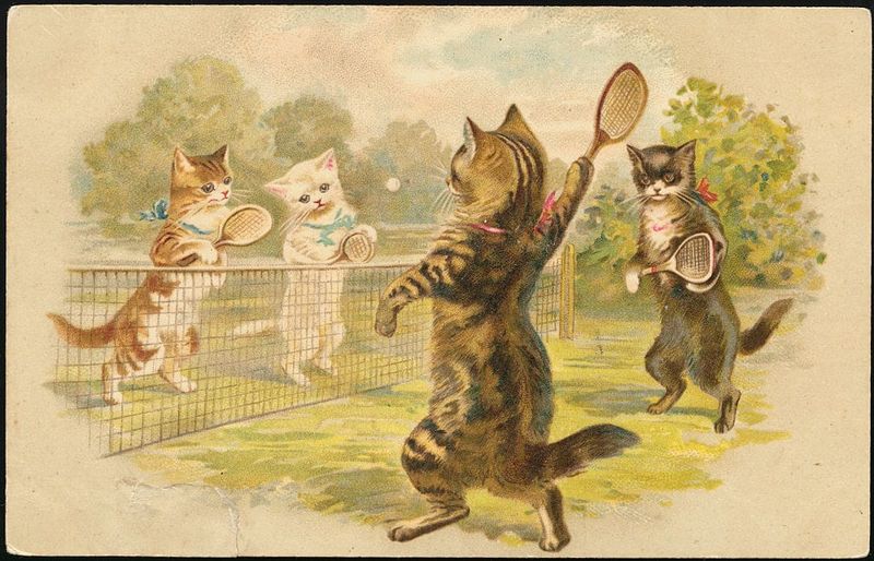 Your Afternoon Chat: What Is The Funniest Thing Your Pet Has Ever Done?