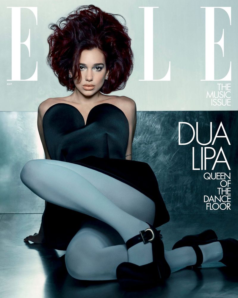 Dua Lipa Has Giant Hair on Elle