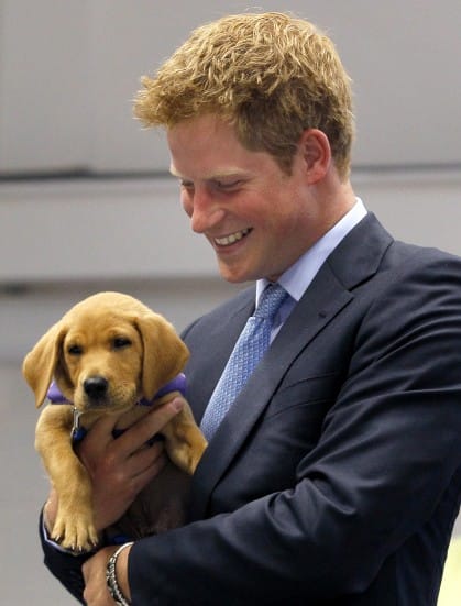 Royally Played: Prince Harry and Animals: An Illustrated History