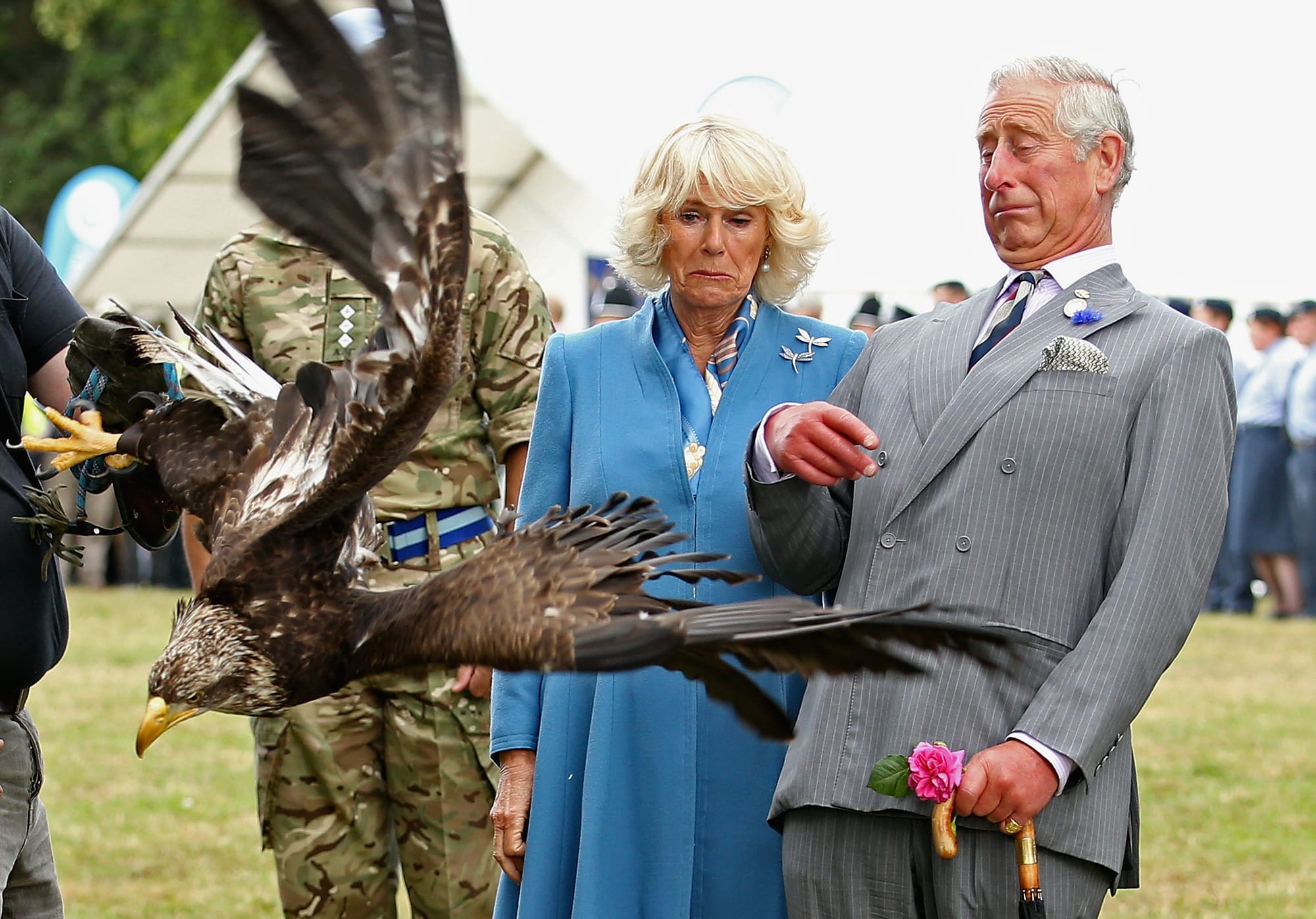 Royals Round-Up, July 31st, 2015