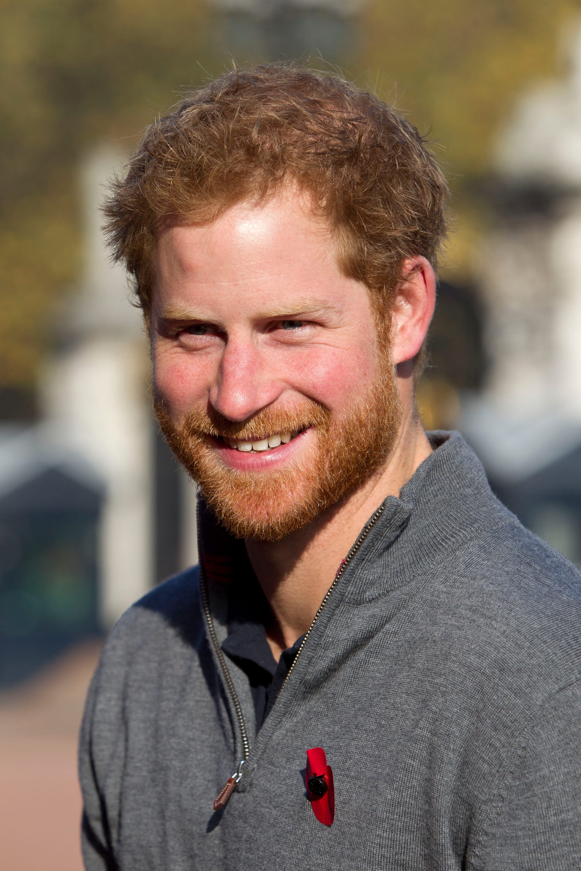 Royals Round-Up, November 6th, 2015