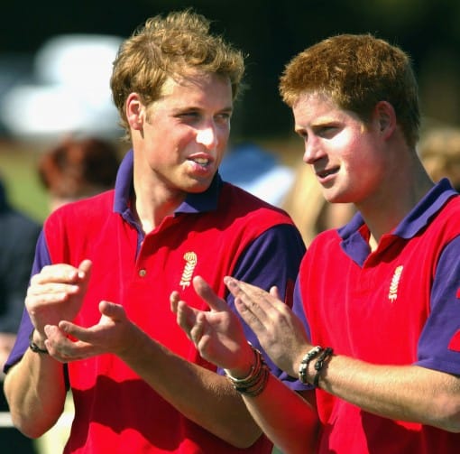 Hot Prince Harry