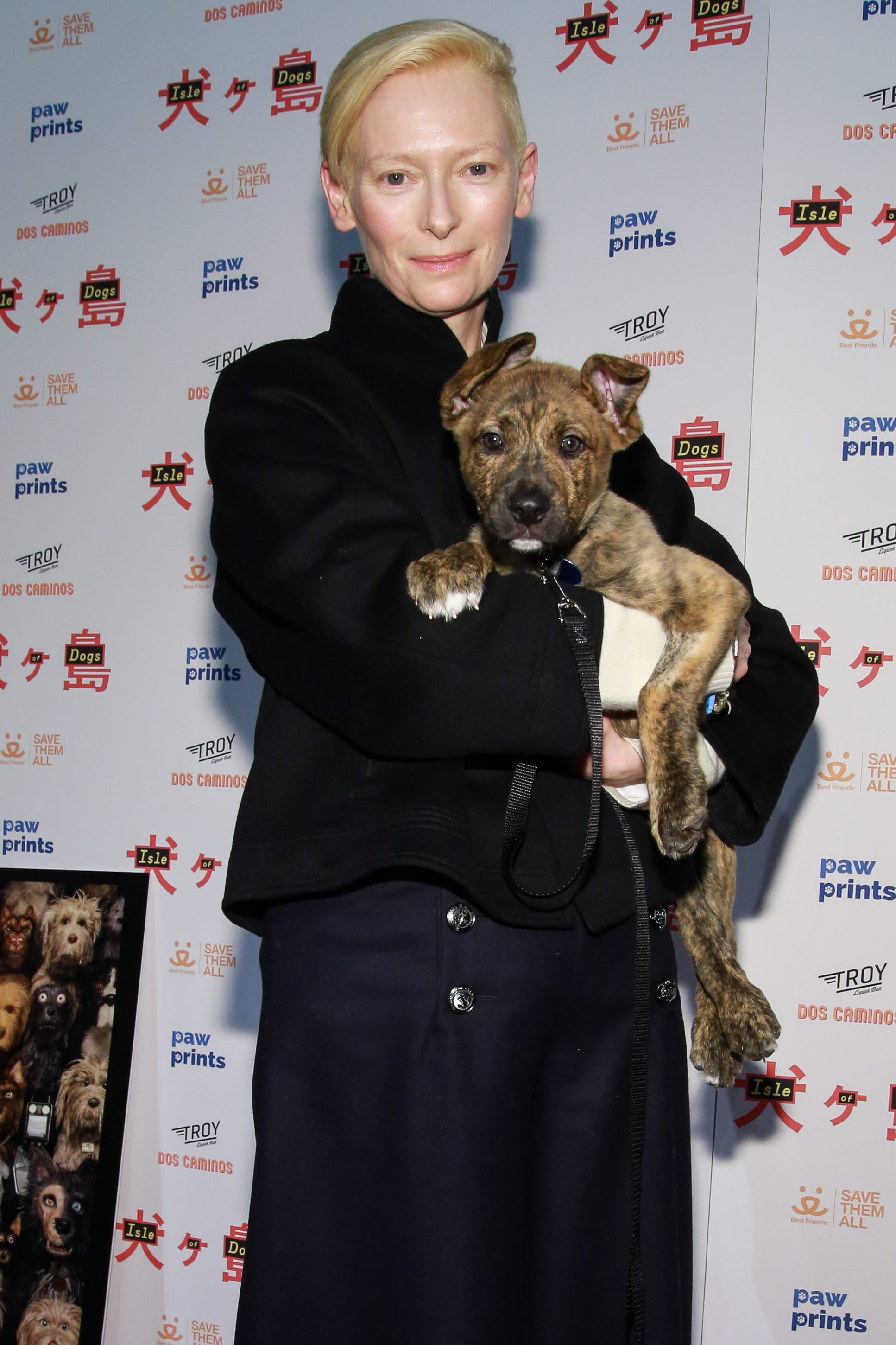 This Post Is Literally Just Celebrities Holding Dogs