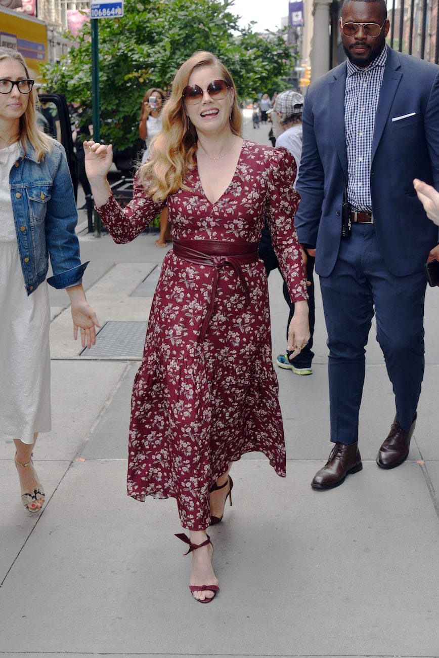 Amy Adams Evokes Our Favorite Heroine